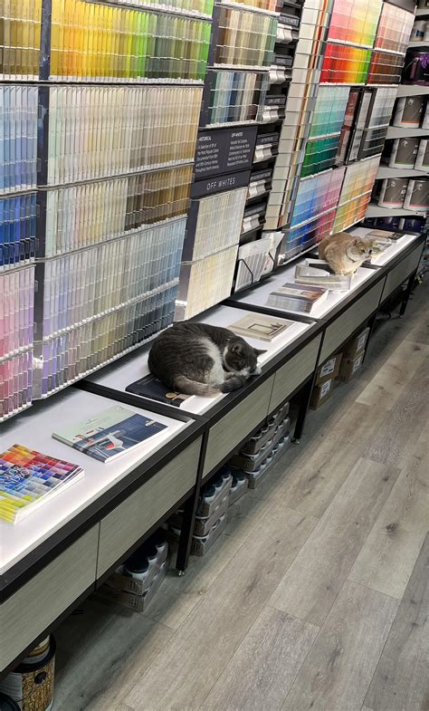 Local Hardware Store 的图像结果