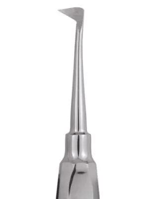 Buy GDC Root Elevators Seldin Standard (E4r) – Oralkart