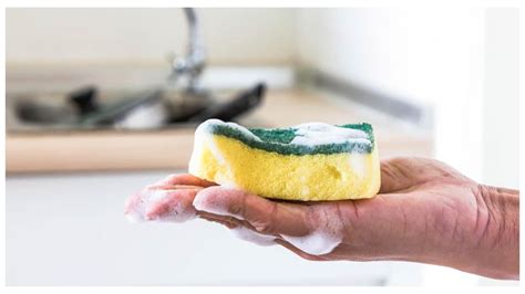 Kitchen sponge: Is it smelly? Time to replace it now! Experts warn ...