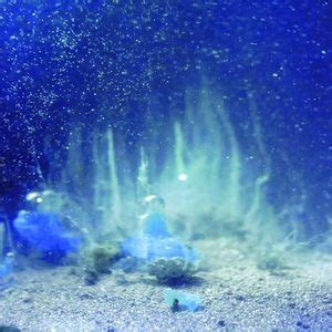 Expo Jean Painlevé, Écho contemporain : atelier jeune public cyanotype ...