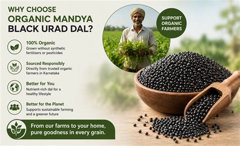 Black Urad Whole (Black Gram) Organic | Organic Mandya