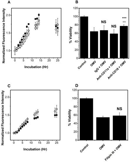 Aggregatibacter actinomycetemcomitans Leukotoxin Is Delivered to Host ...