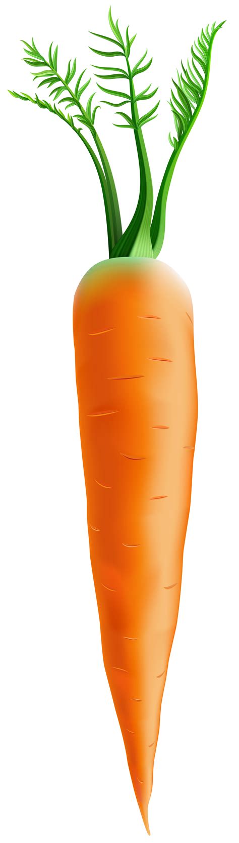 Free Carrot Background Cliparts, Download Free Carrot Background ...