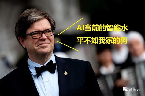 Alphago Structure 的图像结果