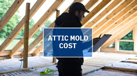 Cost of Attic Mold Remediation: A Practical Guide to Pricing | Indoor ...