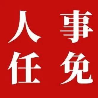 发展党员政审外调函-图库-五毛网