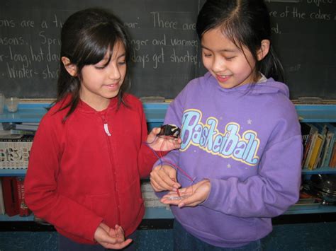 Magnetism Samples 的图像结果