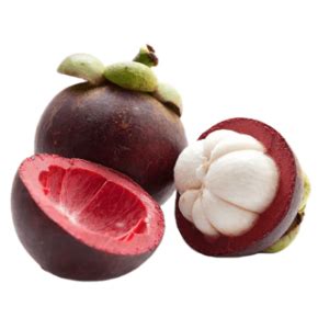 Contact Tropical Exotics | Best Selling Exotic Produce In India