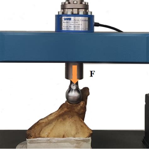 Axial Compression Test 的图像结果