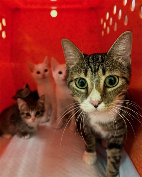 Brother Wolf Animal Rescue | Small steps. Deep breaths. We are trying ...