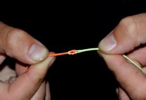 Image result for Loop to Loop Line Connection