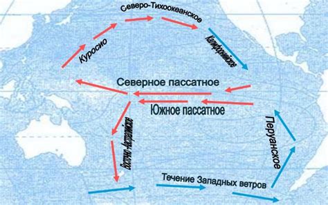 Течения Тихого океана – теплые и холодные, северные и южные