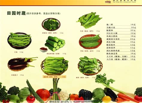 【蔬菜种类大全】最全蔬菜种类名称盘点 你吃过的菜有哪些？→MAIGOO知识