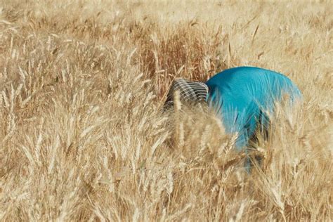 Habibi Collective's intro to Palestinian women’s cinema | Dazed