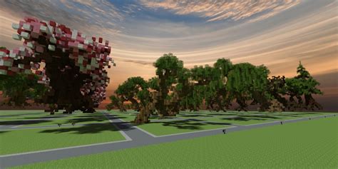 Image result for Medium Minecraft Tree