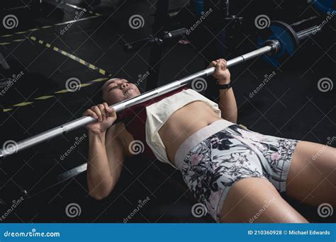 Flat Barbell Bench Press