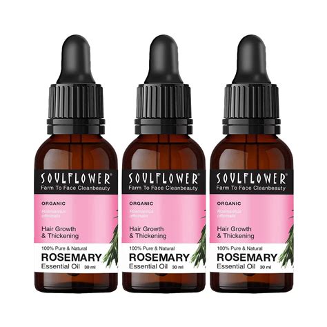 Buy Soulflower Rosemary Essential Oil Pack of 3 Combo (3 x 30 ml ...