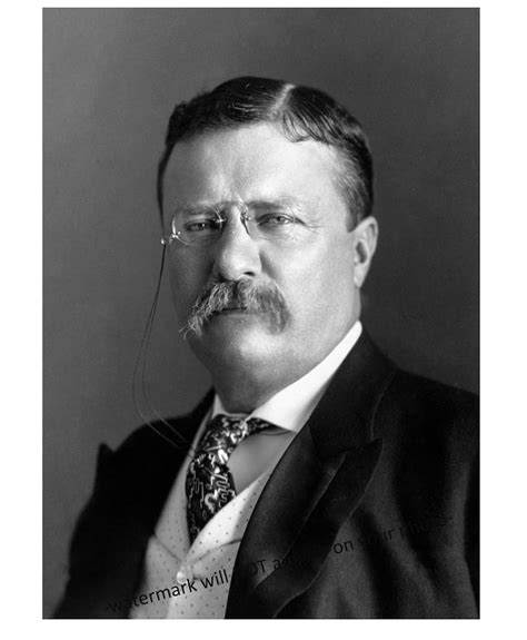 Teddy Roosevelt 的图像结果