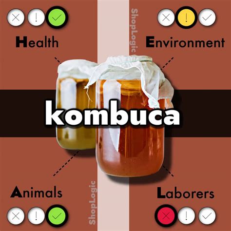 Kombucha Benefits + Side Effects