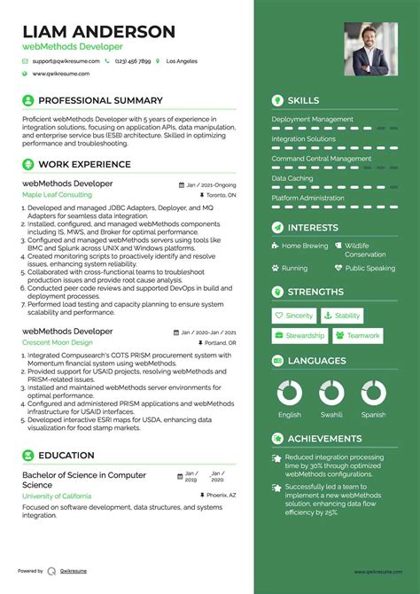 Image result for Developer webMethods