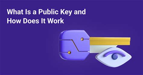 Image result for What Is Public Key in a Level Computing