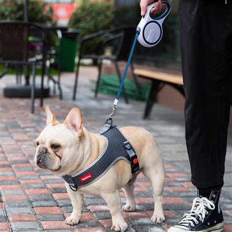 French bulldog Harness – frenchie Shop