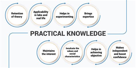 Application Knowledge Examples 的图像结果