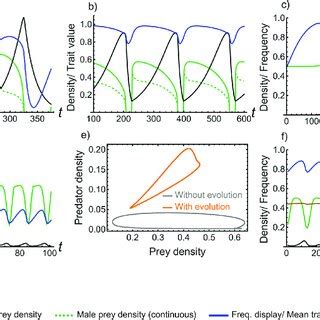 Image result for Predator-Prey Cycles
