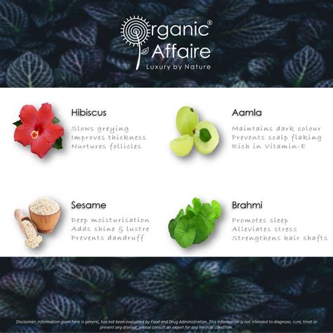 Organic Hair Oil - Keralucious (Silk Protein, Hibiscus, Bhrami, Amla ...