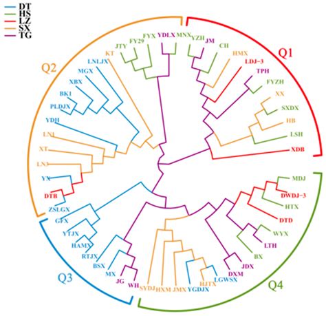 Analysis of Kinship and Population Genetic Structure of 53 Apricot ...