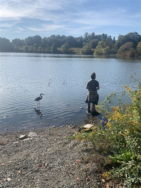 Marsh Creek State Park, a Pennsylvania State Park located near Aston ...
