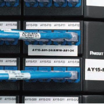 Image result for Panduit Labels