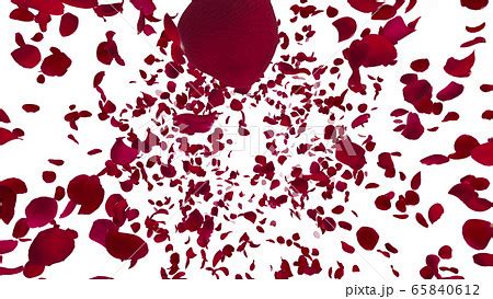 Image result for Twitter Algorithm Flow