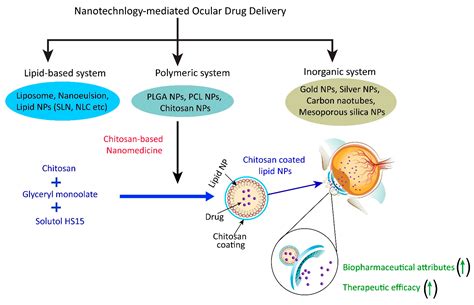 Recent Progress in Chitosan-Based Nanomedicine for Its Ocular ...