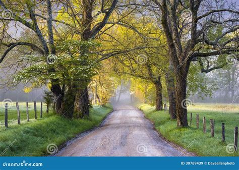 Cades Cove Great Smoky Mountains National Park Scenic Landscape Spring ...