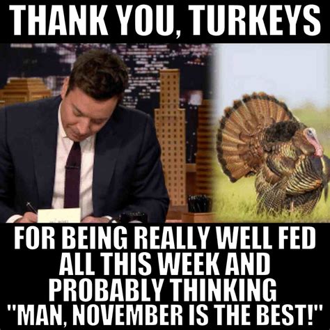 Funny Thanksgiving Memes Laughs To Celebrate Turkey Day (2025)