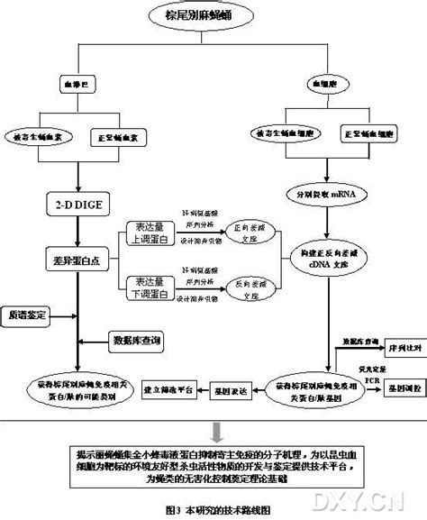 自由软件基金会获得匿名比特币基金100万美元的捐赠 - 蓝点网