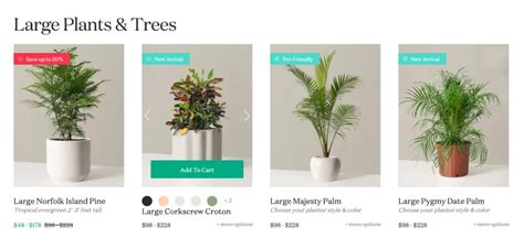 Image result for Simple Website UI Design Examples