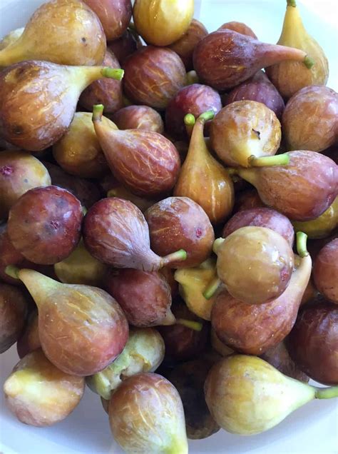 7 Fig Recipes: Not Just For Fig Season • Louisiana Woman Blog