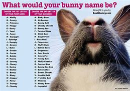 Image result for lop bunny names