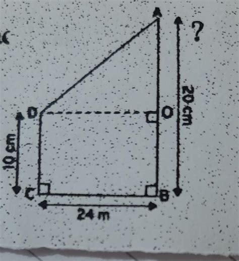 in the following figure find the lenght of AD - Brainly.in