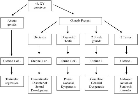 Understanding Disorders of Sexual Development - Journal of Pediatric Nursing: Nursing Care of ...