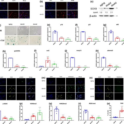 Image result for Partial Reprogramming