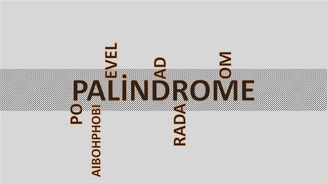 Palindrome Detector Using Recursion in Java 的图像结果