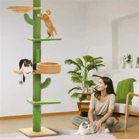 Cactus Cat Tree Floor To Ceiling | Shop