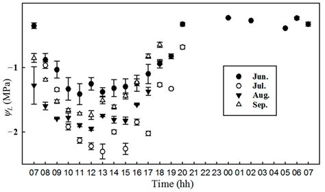 The Photosynthesis of Populus euphratica Oliv. Is Not Limited by ...