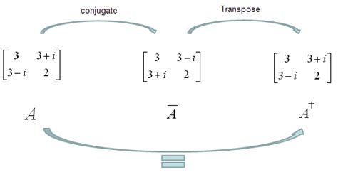 Hermitian Matrix Example 的图像结果