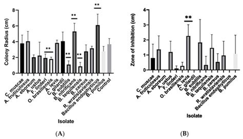 Combating the Dust Devil: Utilizing Naturally Occurring Soil Microbes ...