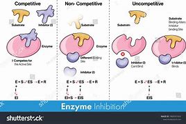 Image result for inhibition
