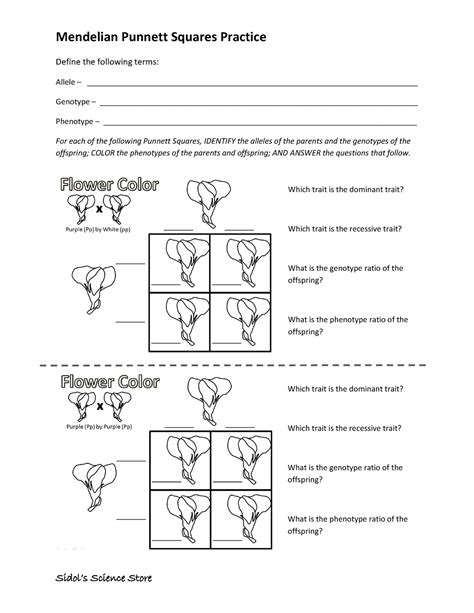 Punnett Squares Coloring Worksheet Mendelian FREE-1 - Mendelian Punnett ...